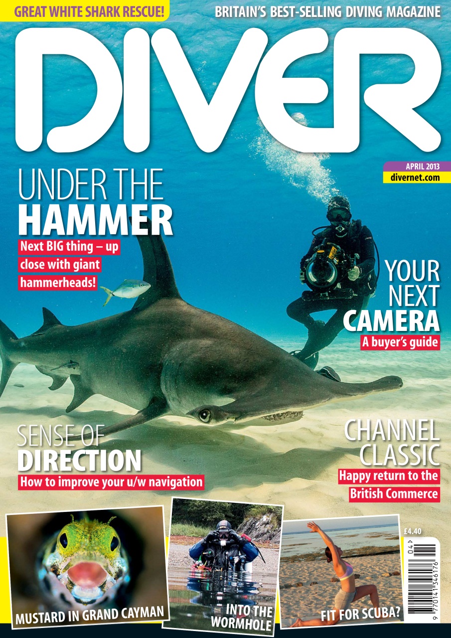 DIVER Preview Pages