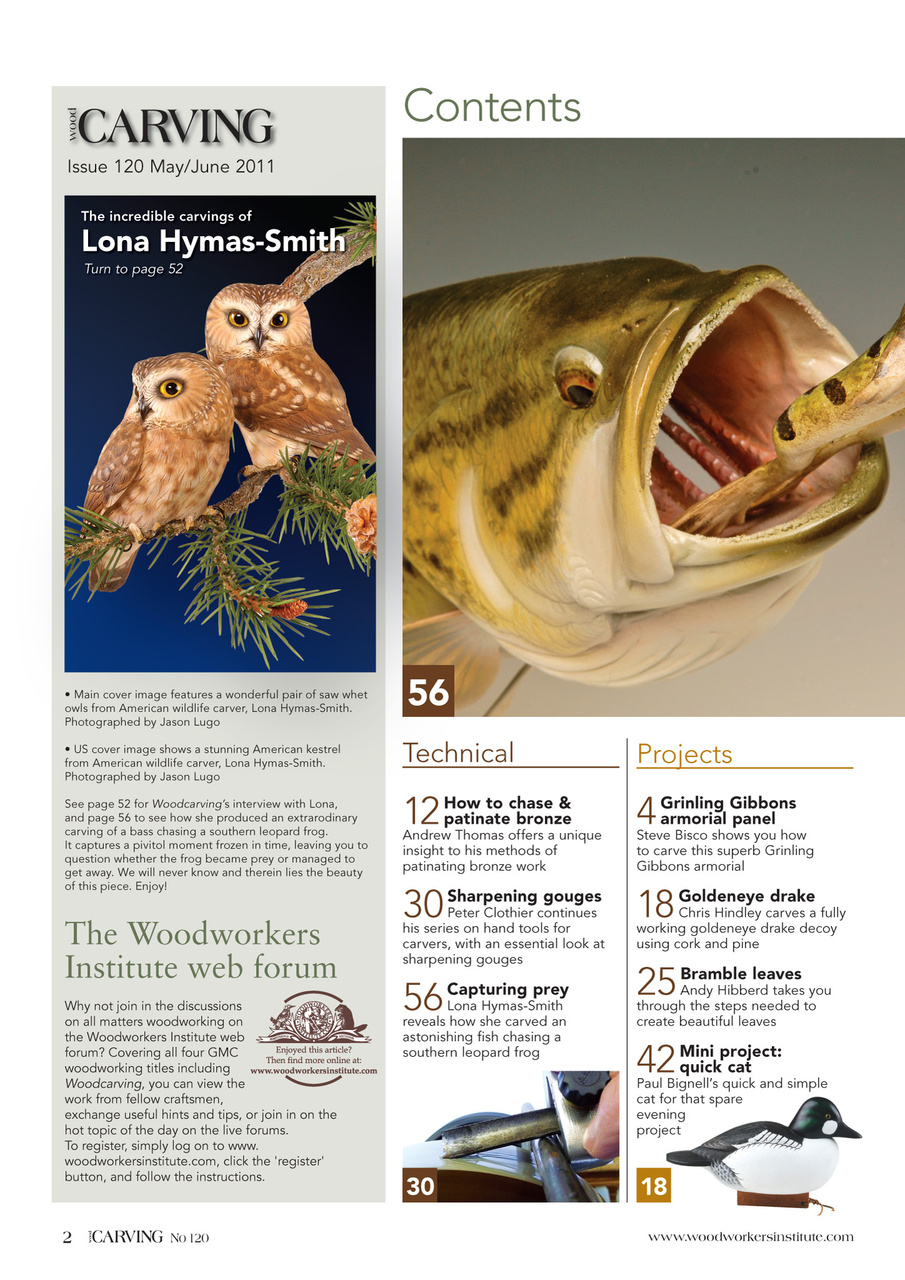 Woodcarving Preview Pages