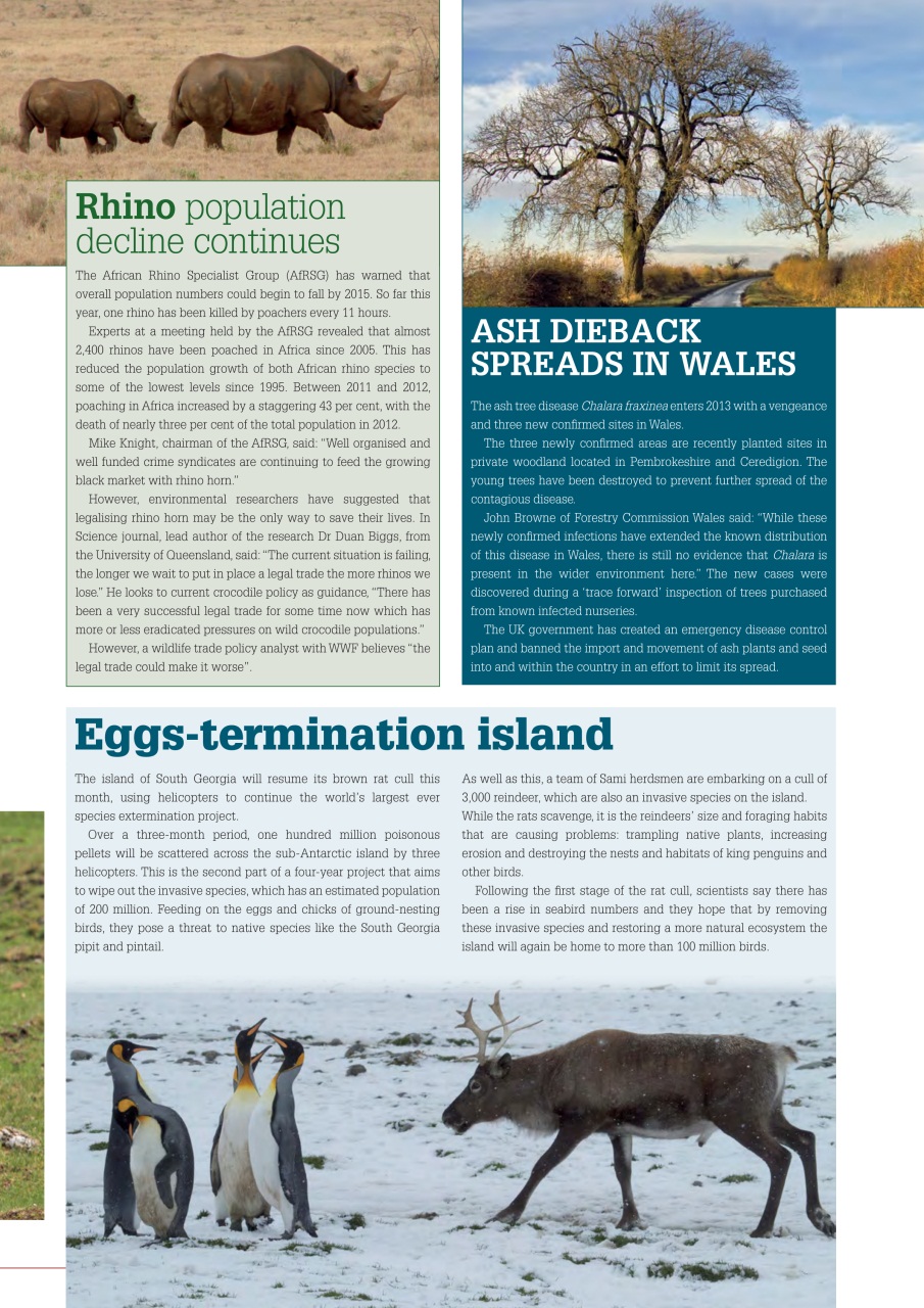 Sporting Rifle Preview Pages