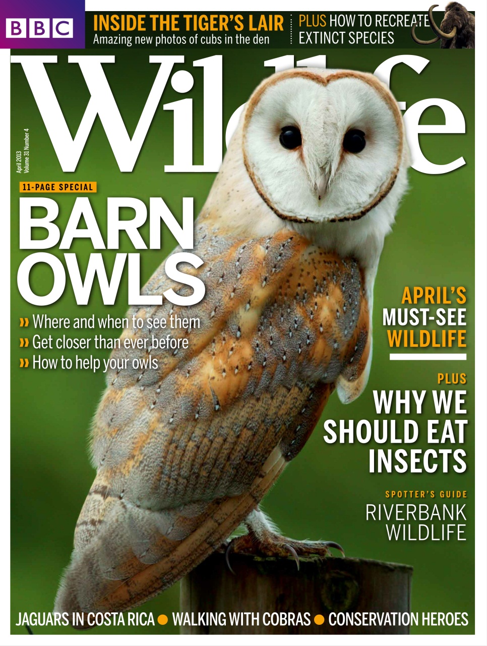 BBC Wildlife Magazine Preview Pages