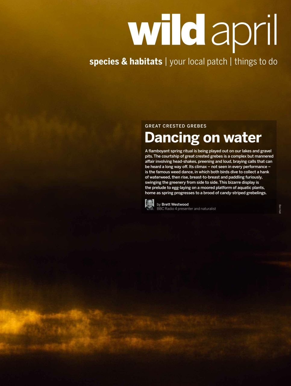 BBC Wildlife Magazine Preview Pages