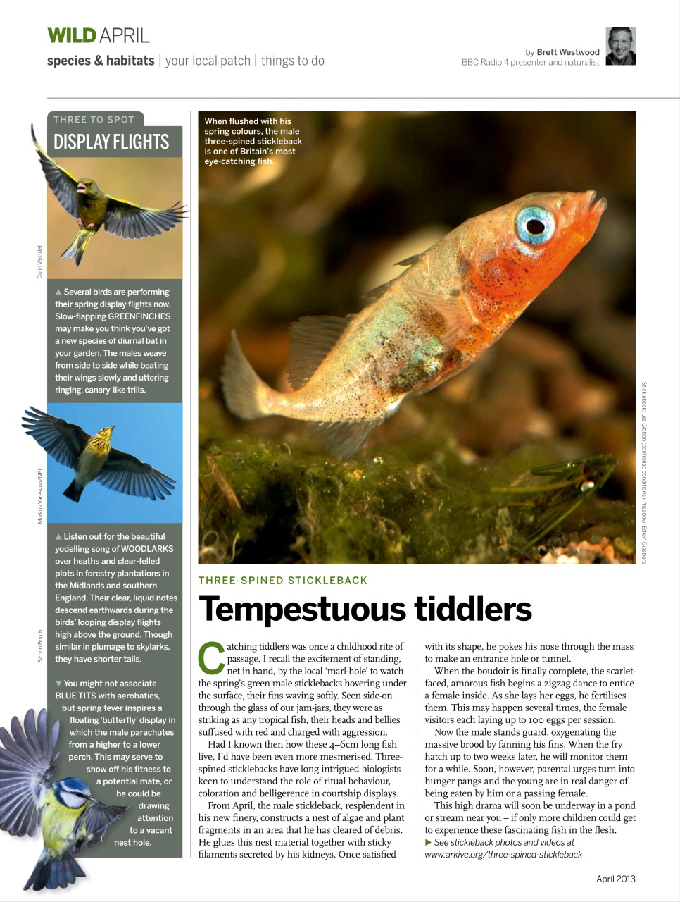 BBC Wildlife Magazine Preview Pages