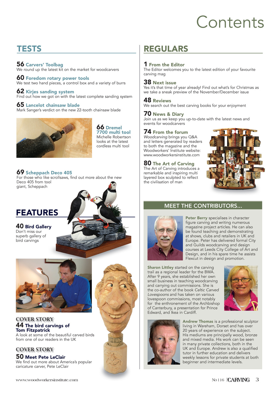 Woodcarving Preview Pages