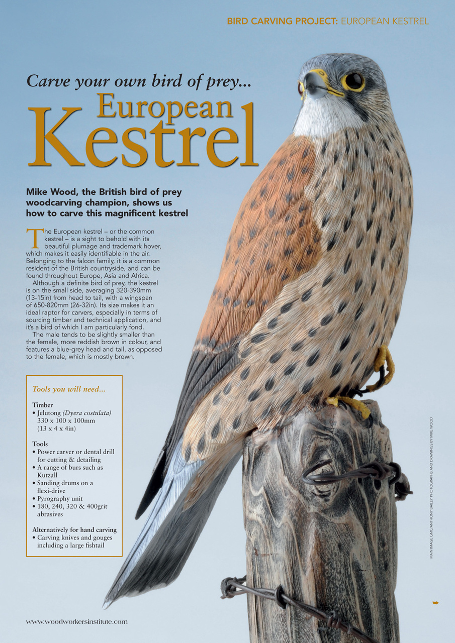 Woodcarving Preview Pages