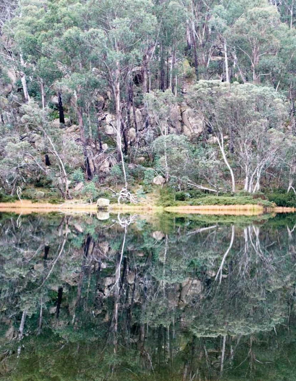 Paper Sea Quarterly Preview Pages