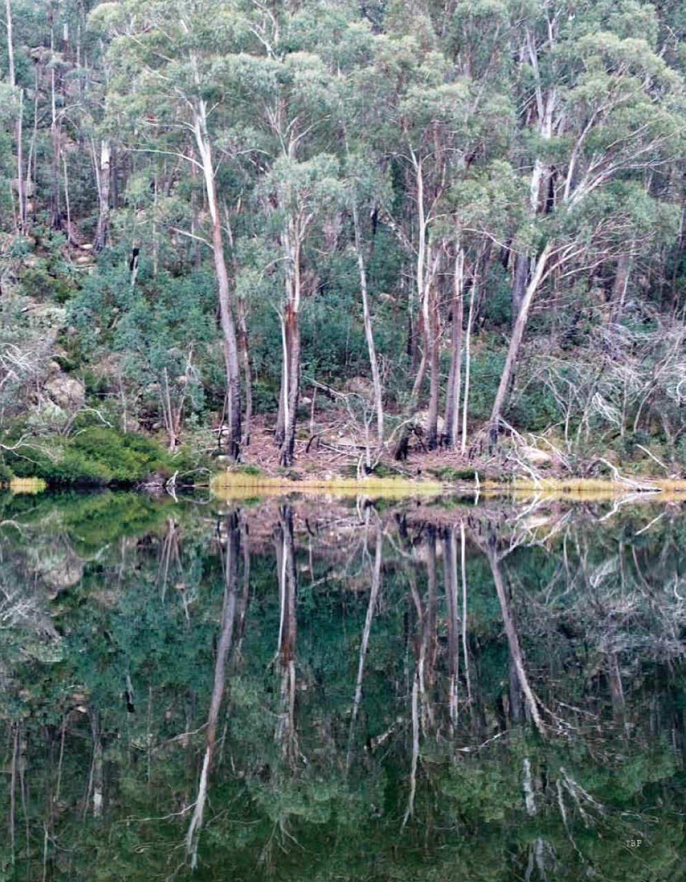 Paper Sea Quarterly Preview Pages