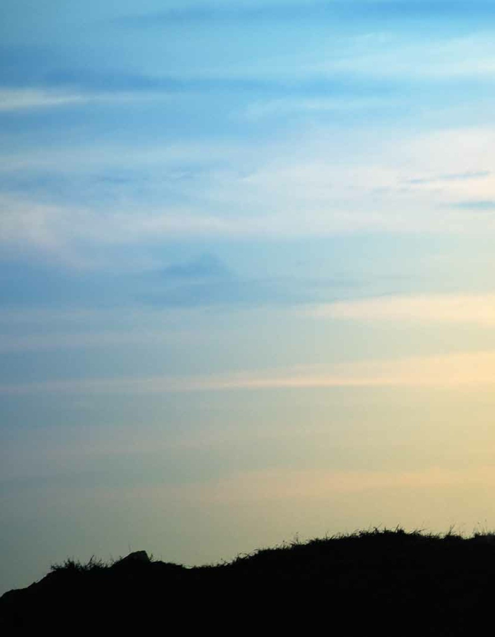 Paper Sea Quarterly Preview Pages