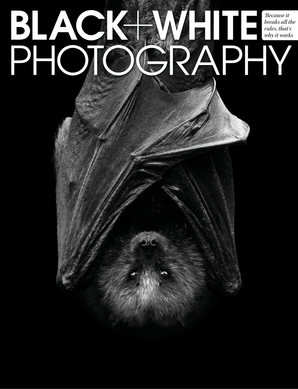 Black+White Photography Preview Pages