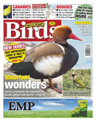 Cage & Aviary Birds issue Cage & Aviary 20 March 2013
