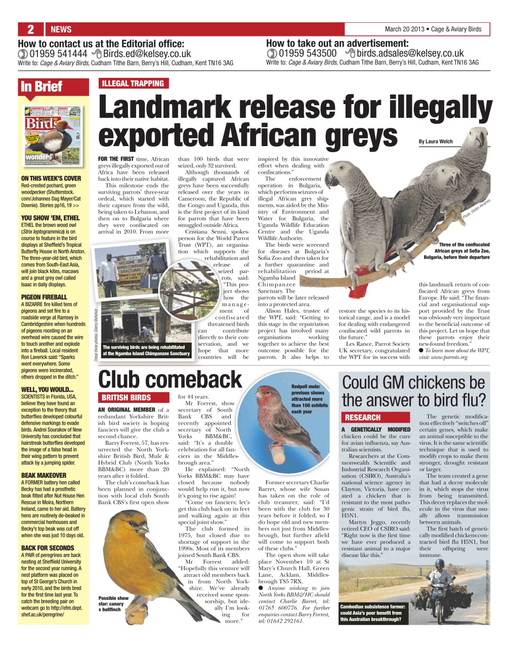 Cage & Aviary Birds Preview Pages