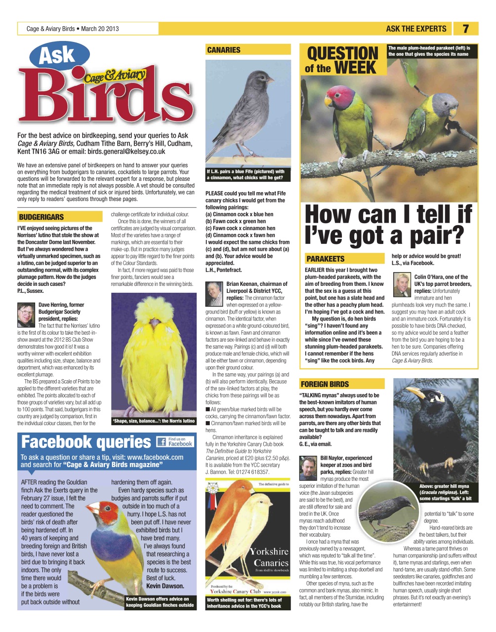 Cage & Aviary Birds Preview Pages