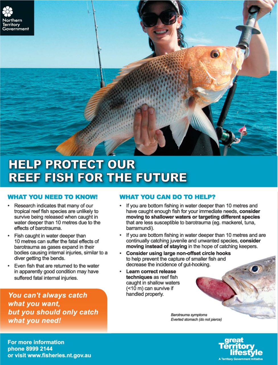 North Australian Fishing and Outdoors Magazine Preview Pages