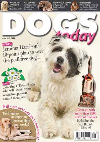 Dogs Today Magazine issue June 2011