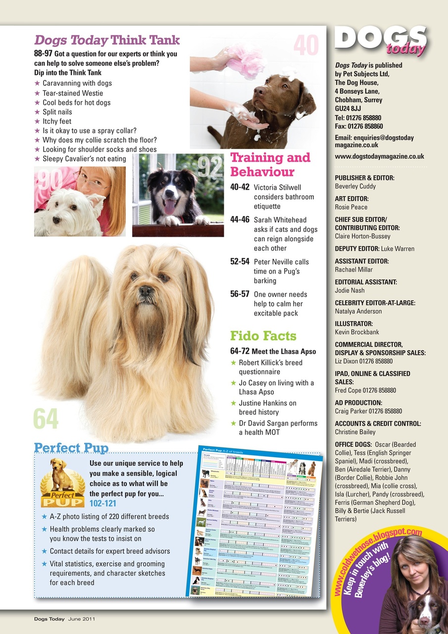 Dogs Today Magazine Preview Pages