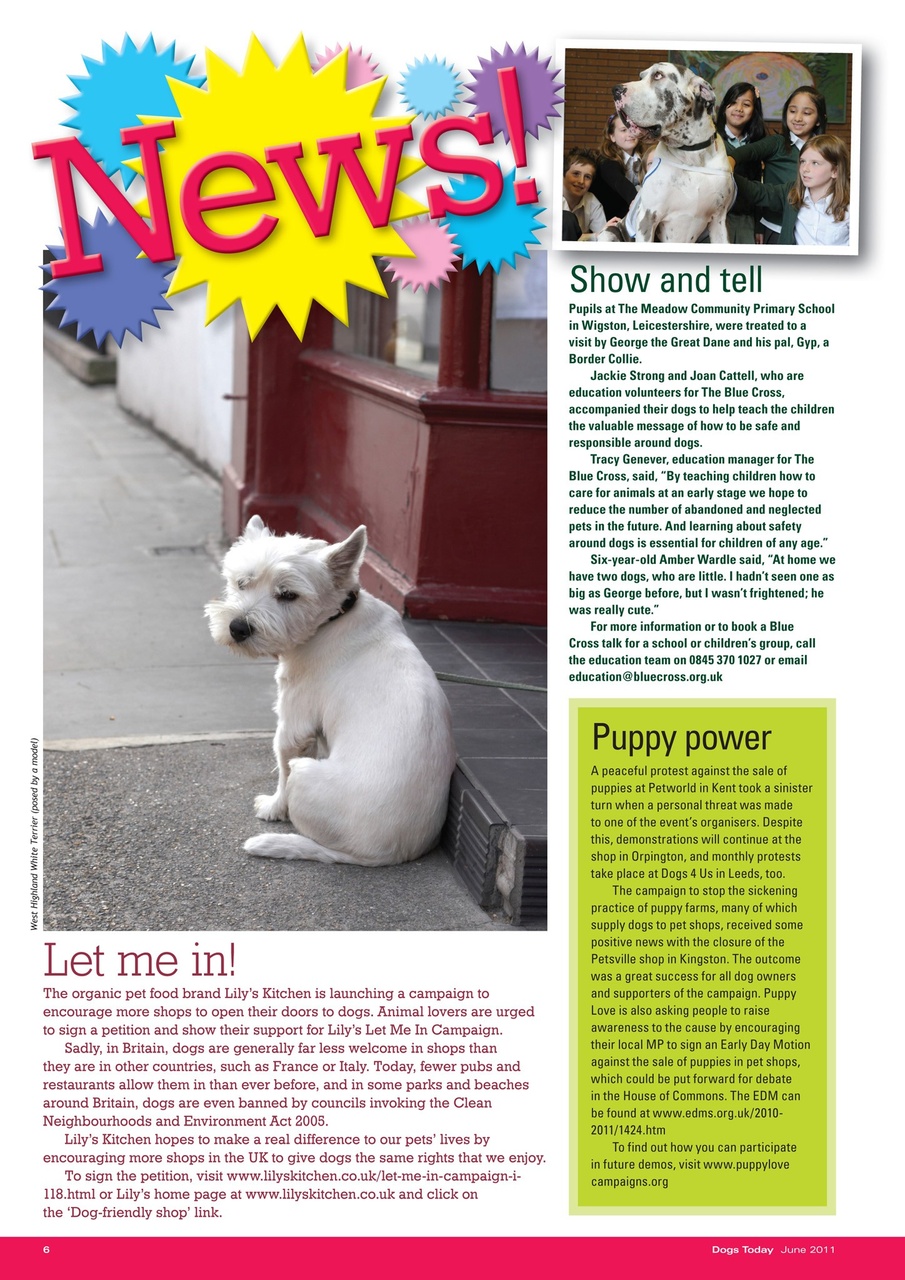 Dogs Today Magazine Preview Pages