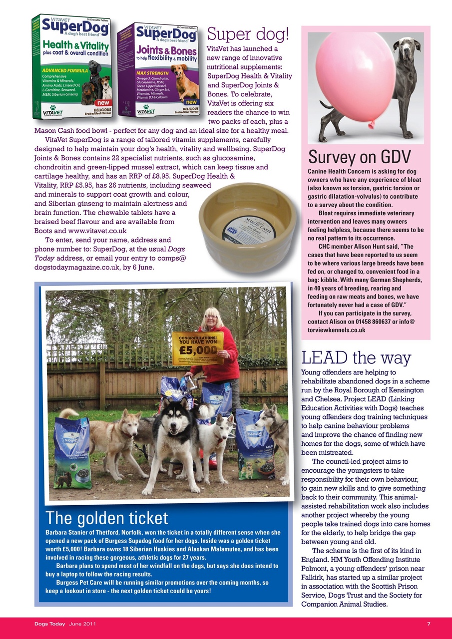 Dogs Today Magazine Preview Pages