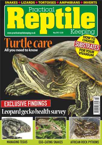 Practical Reptile Keeping issue No.48 Turtle Care