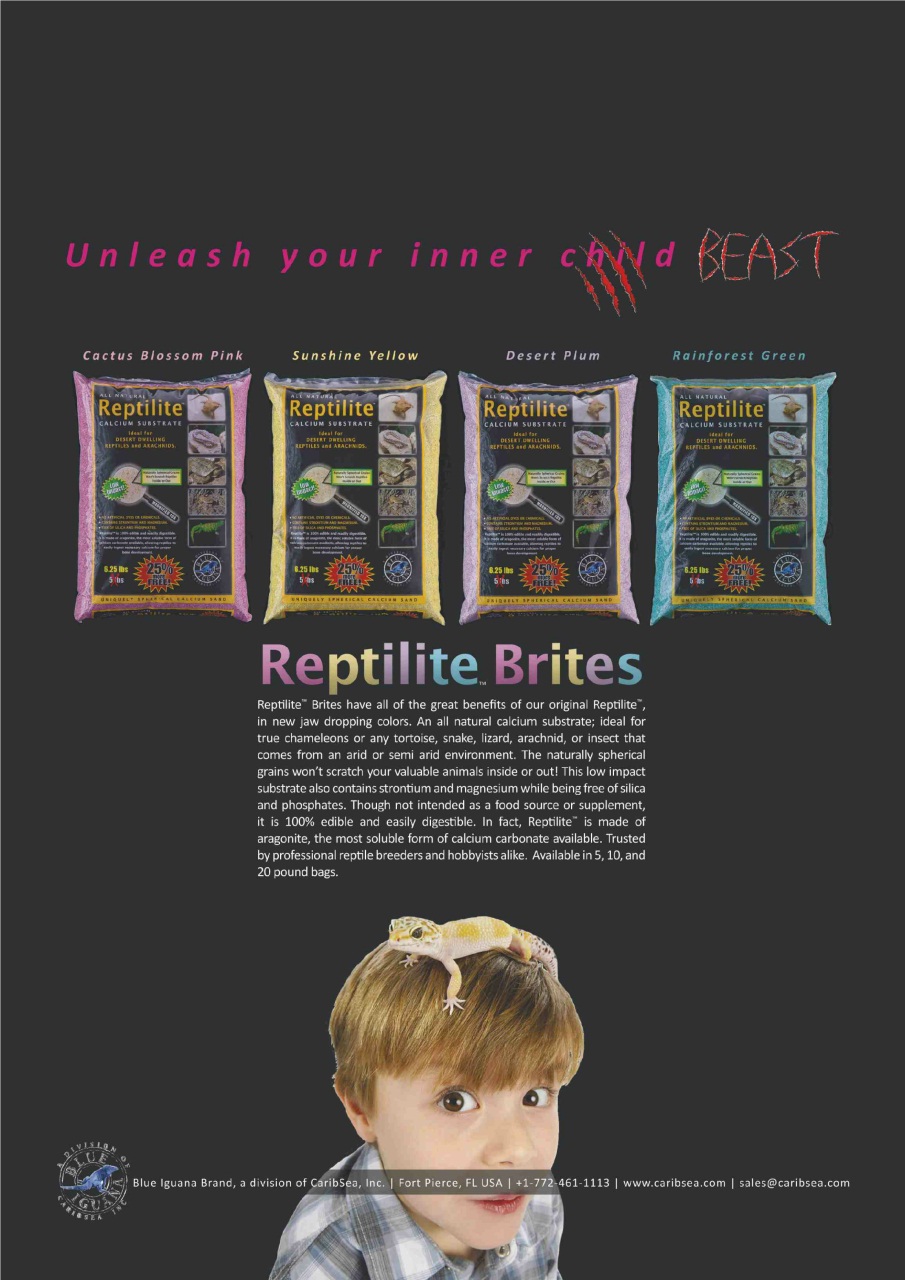 Practical Reptile Keeping Preview Pages