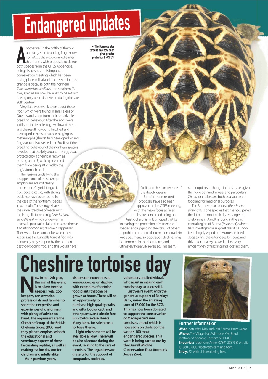 Practical Reptile Keeping Preview Pages