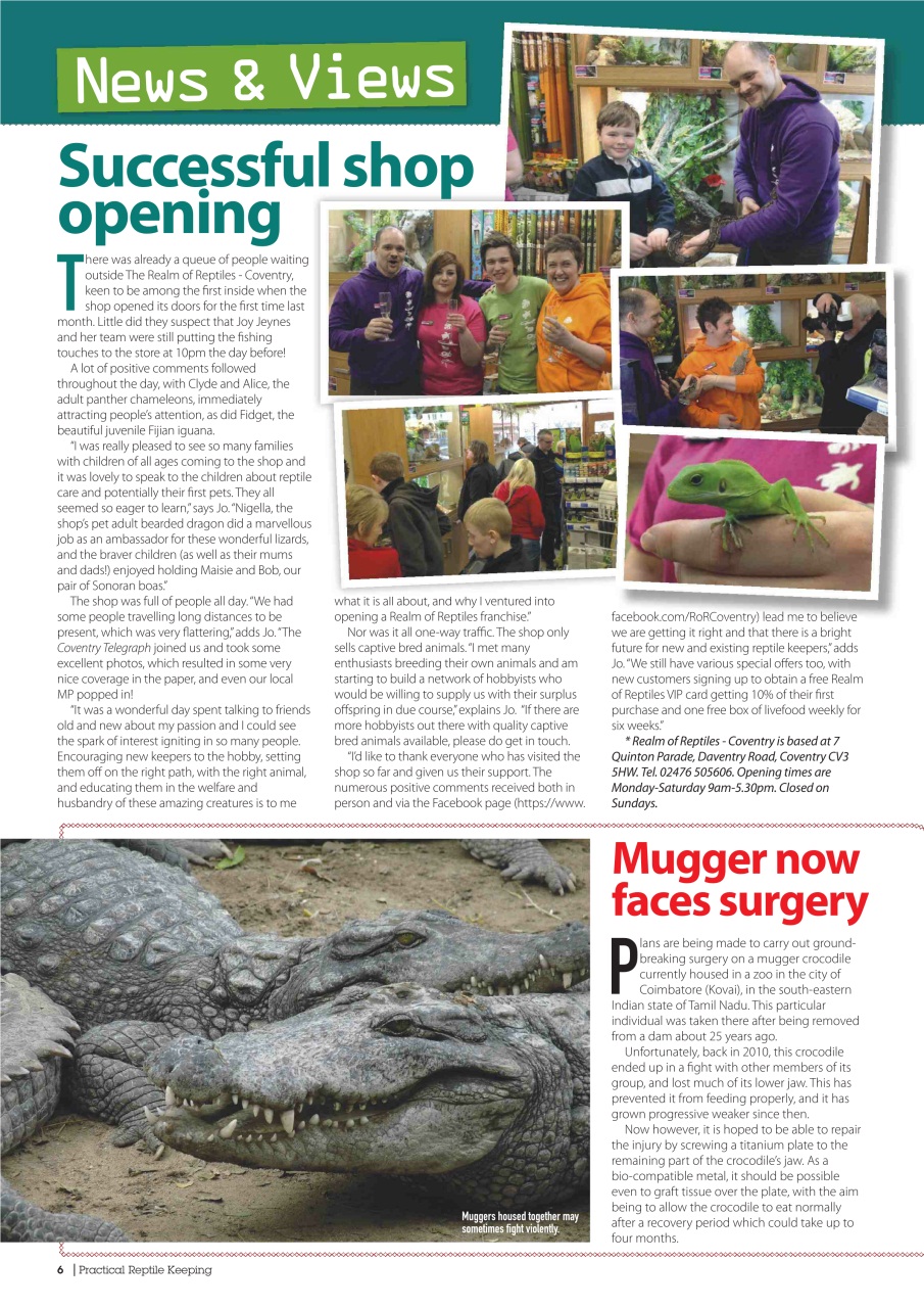 Practical Reptile Keeping Preview Pages