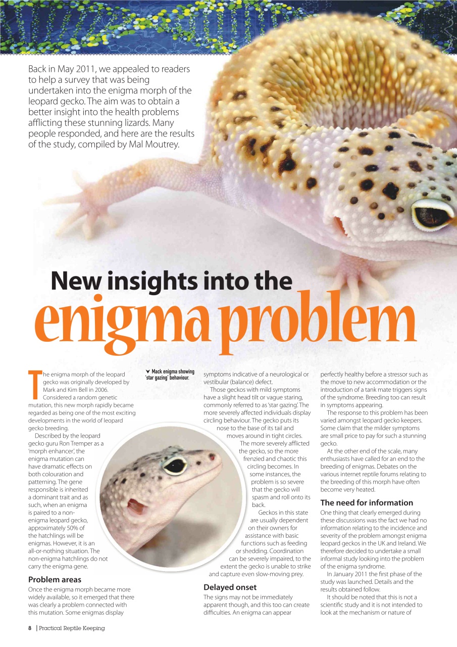 Practical Reptile Keeping Preview Pages