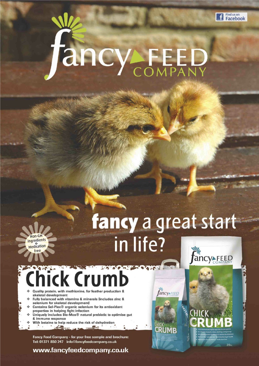 Practical Poultry Preview Pages