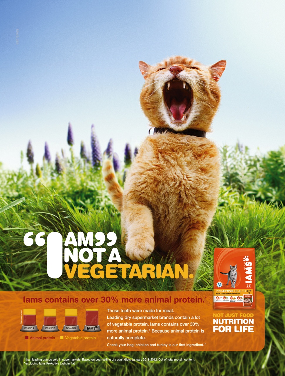 BBC Gardeners’ World Magazine Preview Pages