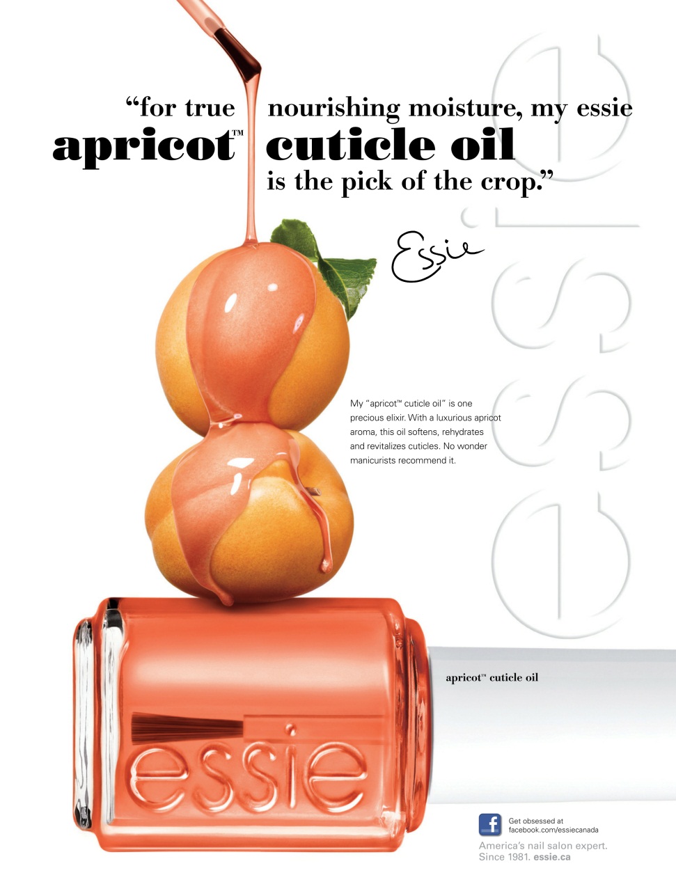 Fashion Magazine Preview Pages