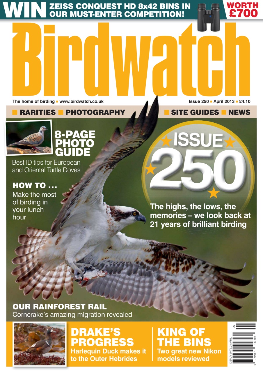 Birdwatch Magazine Preview Pages