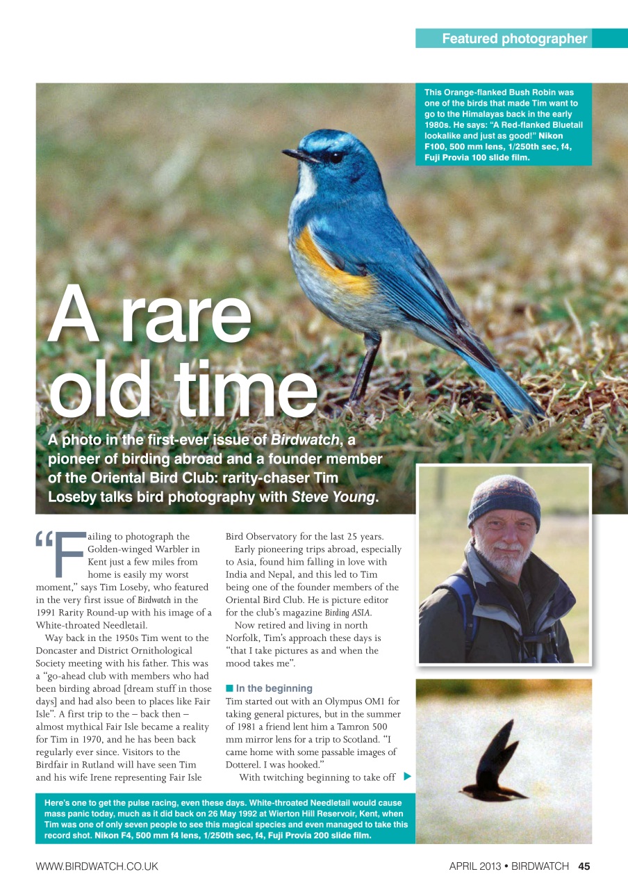 Birdwatch Magazine Preview Pages
