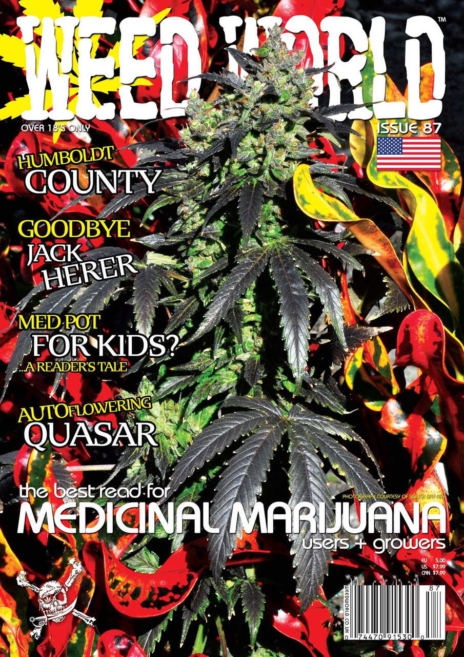 Weed World Preview Pages