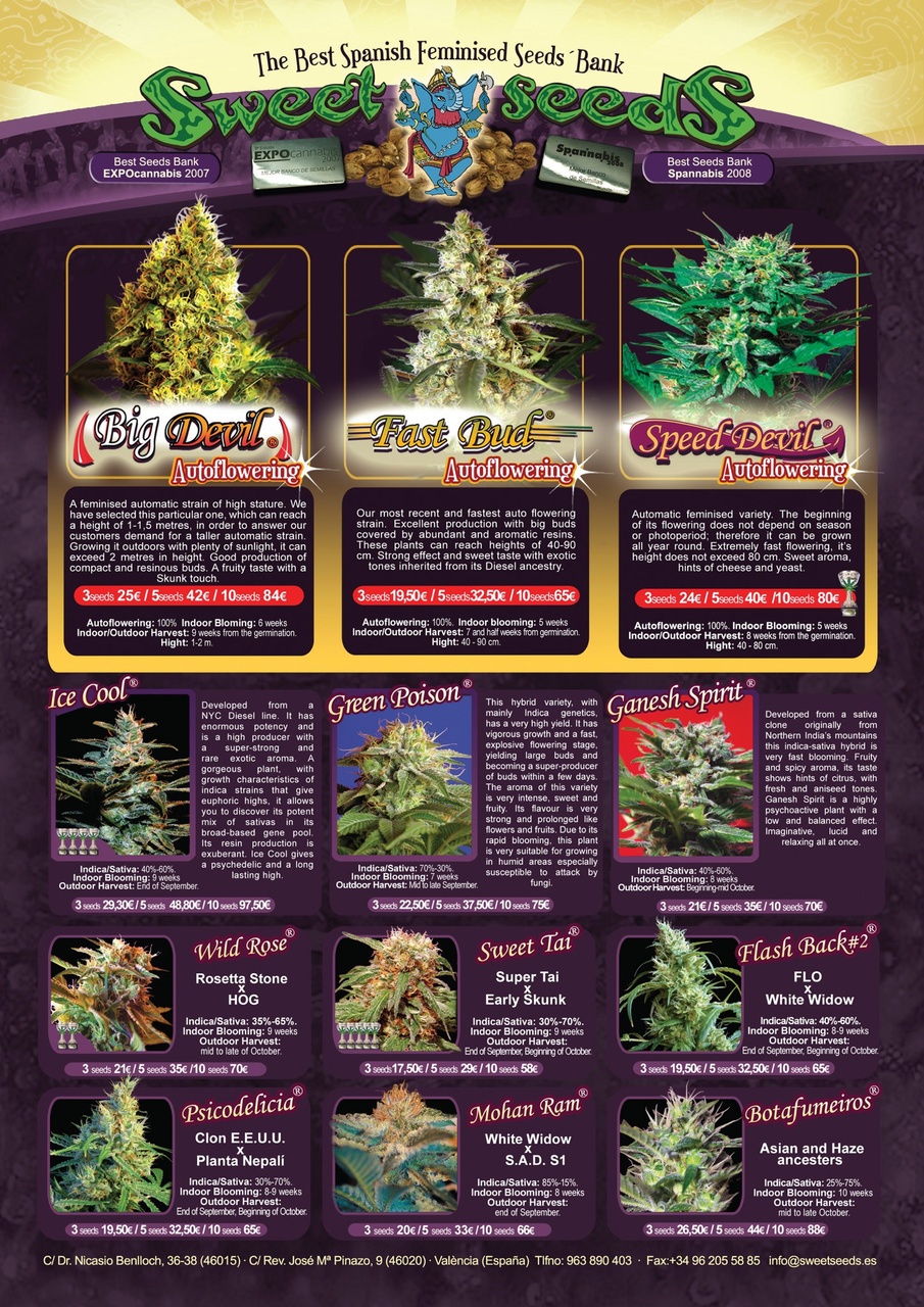 Weed World Preview Pages