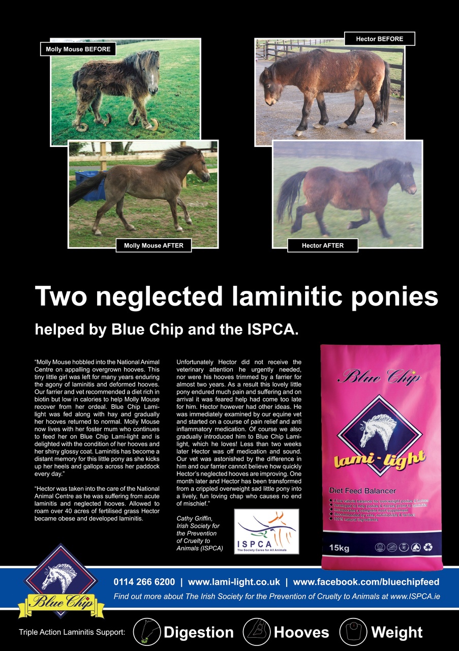 Horse&Rider Magazine - UK equestrian magazine for Horse and Rider Preview Pages