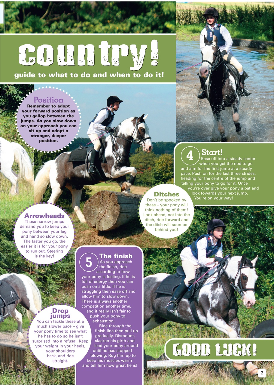 Pony Magazine Preview Pages
