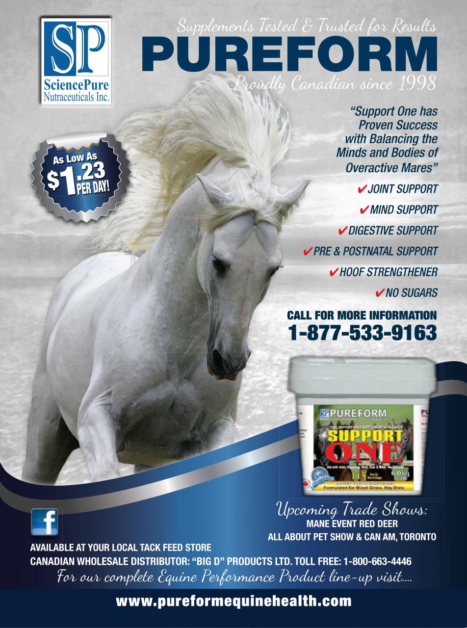 Western Horse Review Preview Pages