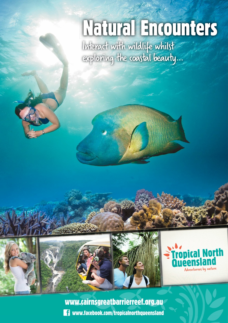 Let’s Travel Preview Pages