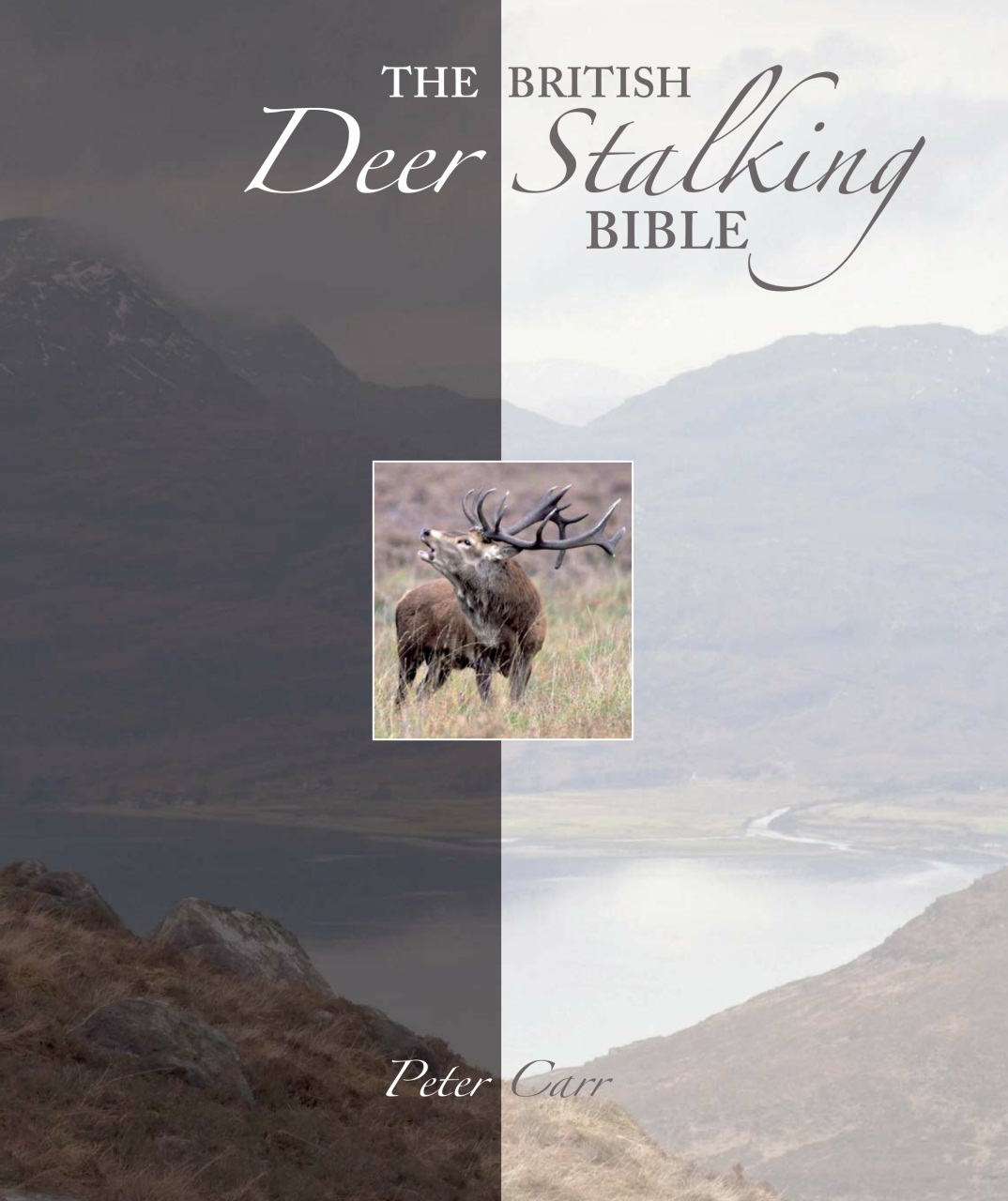 Sporting Rifle Preview Pages