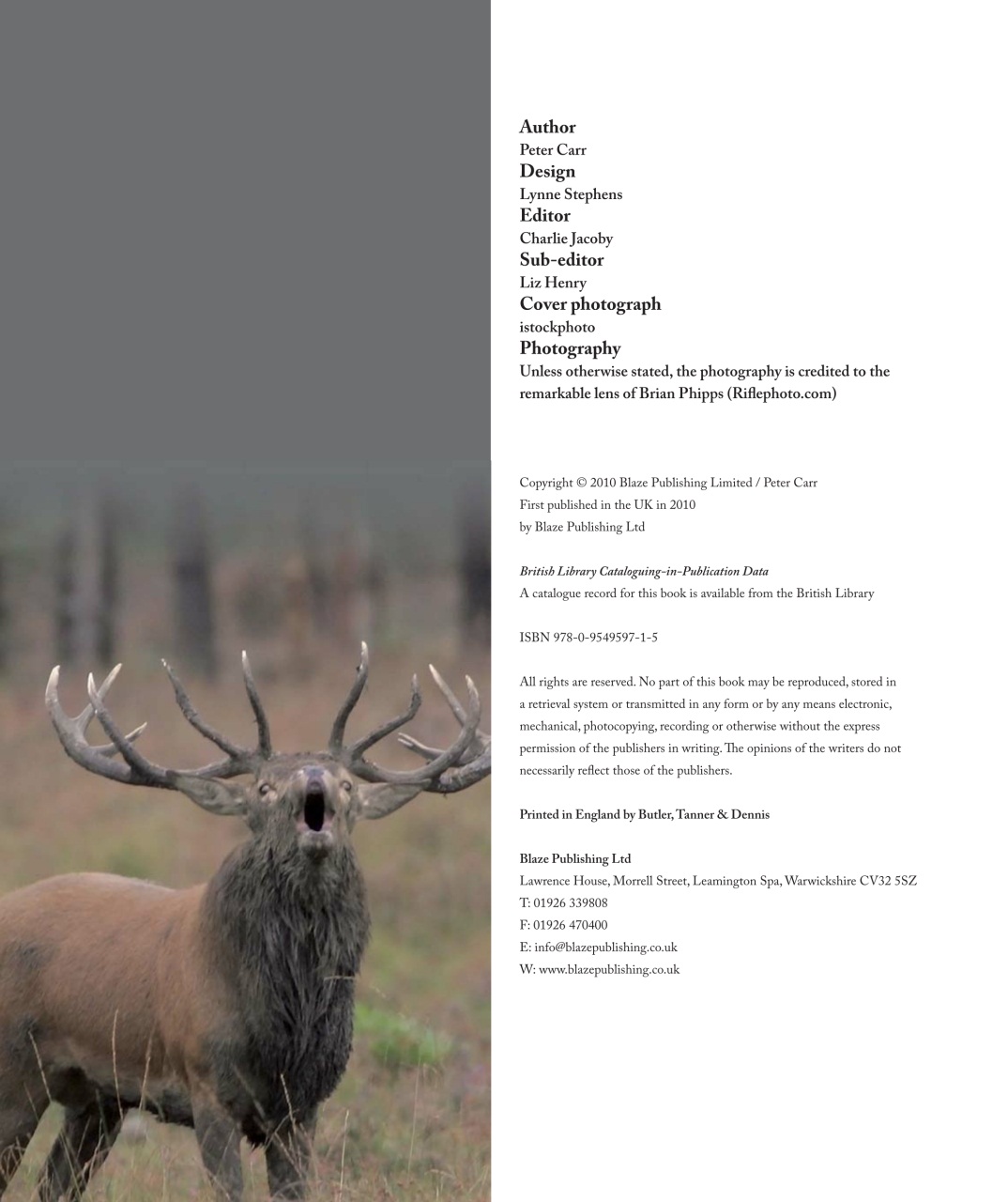 Sporting Rifle Preview Pages