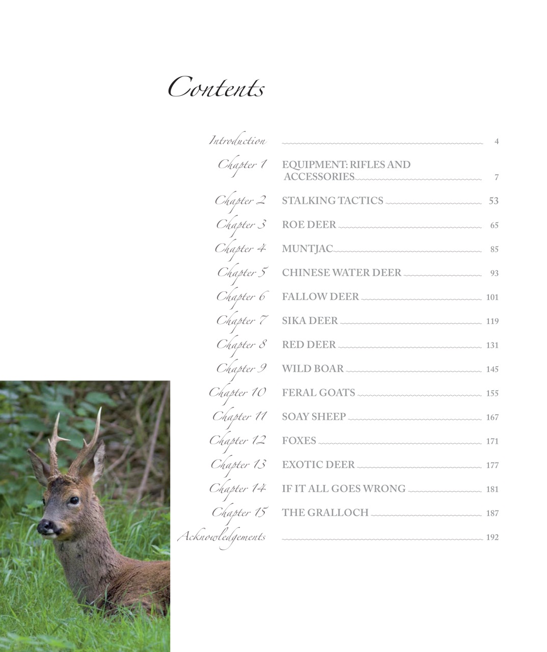 Sporting Rifle Preview Pages