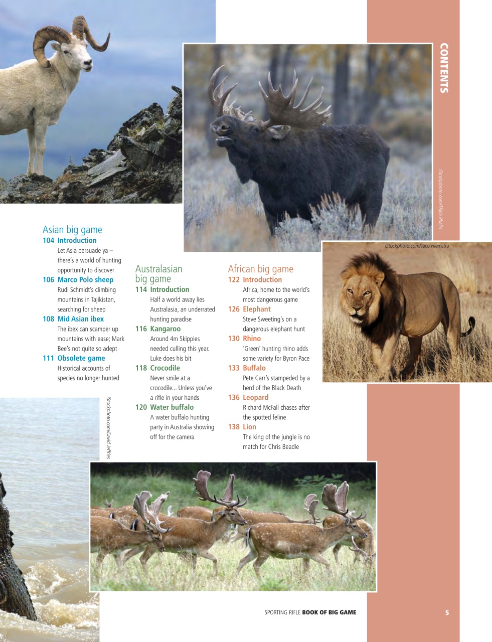 Sporting Rifle Preview Pages