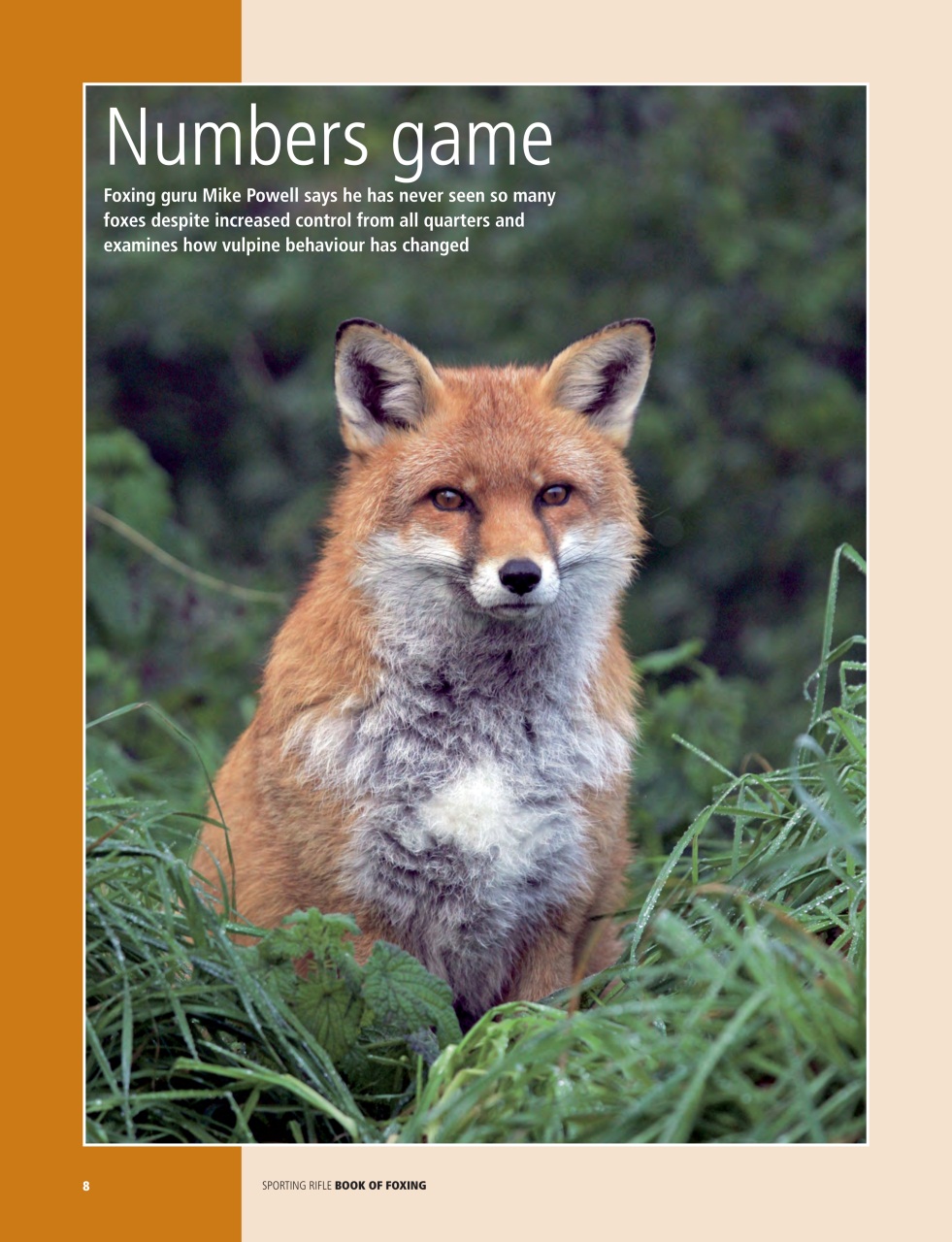 Sporting Rifle Preview Pages