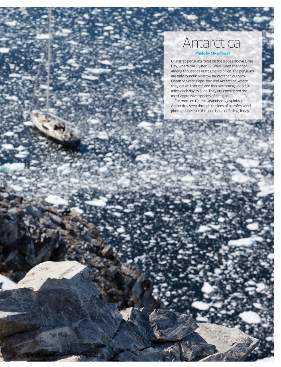 Sailing Today Preview Pages