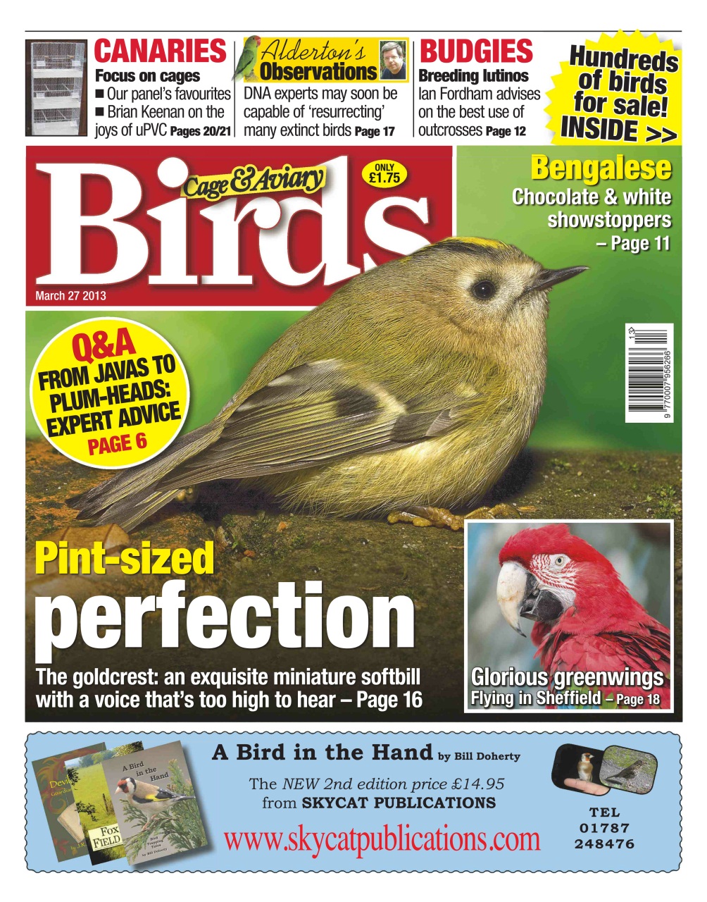 Cage & Aviary Birds Preview Pages