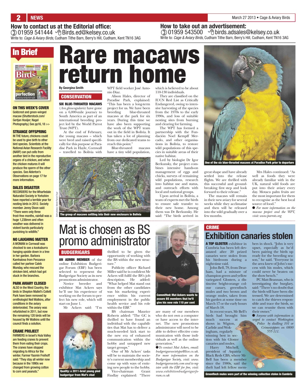 Cage & Aviary Birds Preview Pages