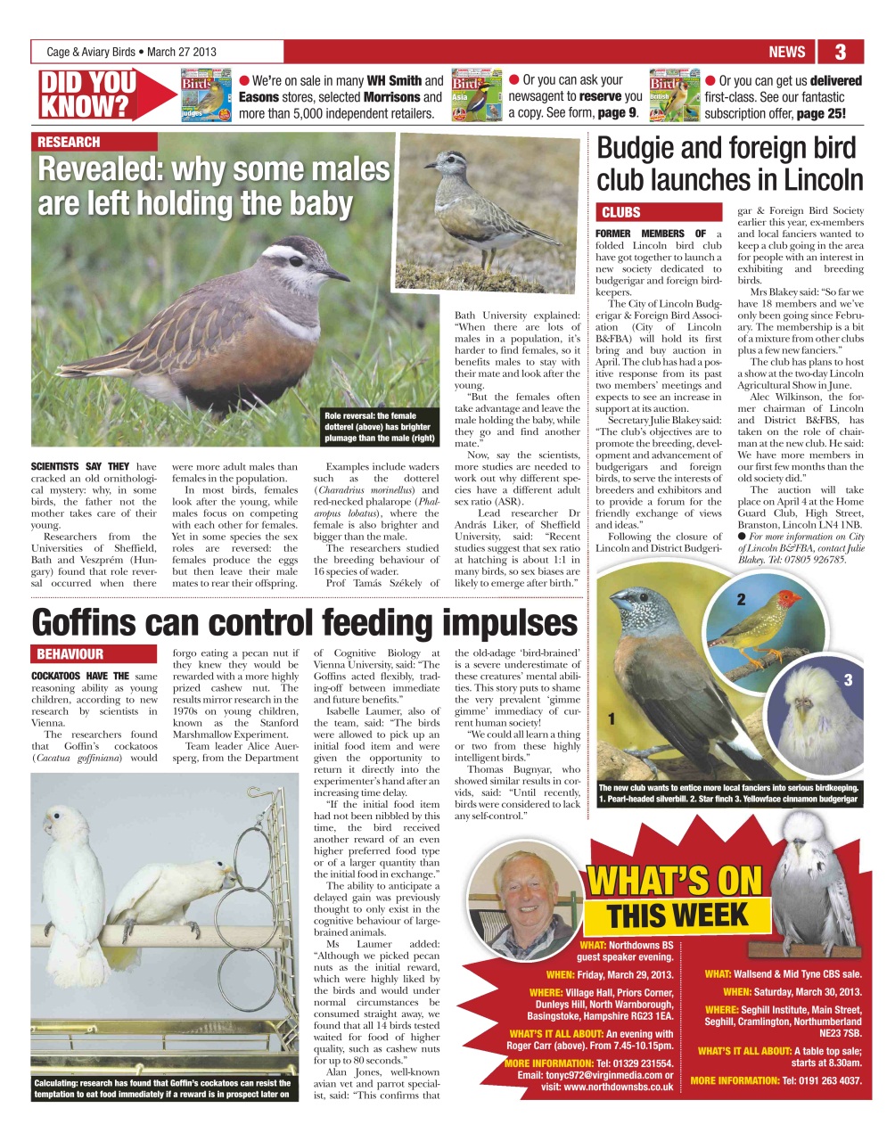 Cage & Aviary Birds Preview Pages