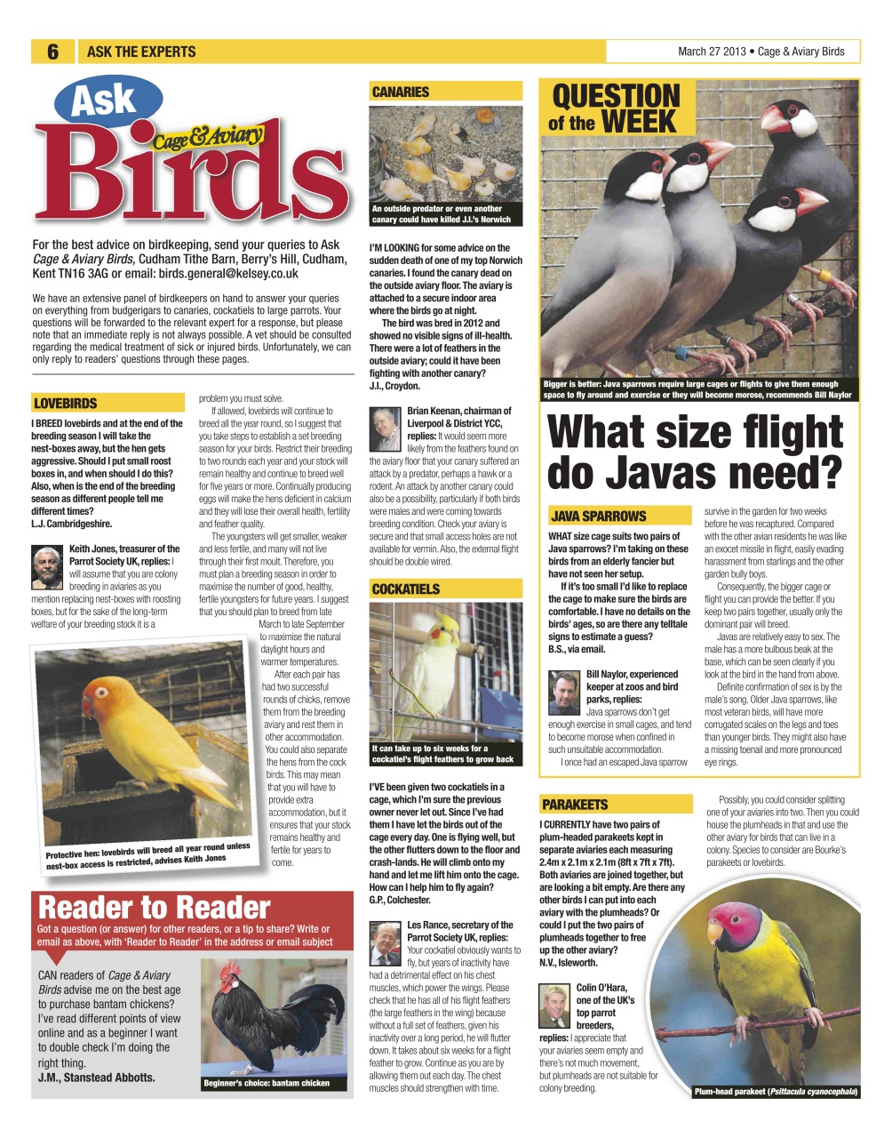 Cage & Aviary Birds Preview Pages