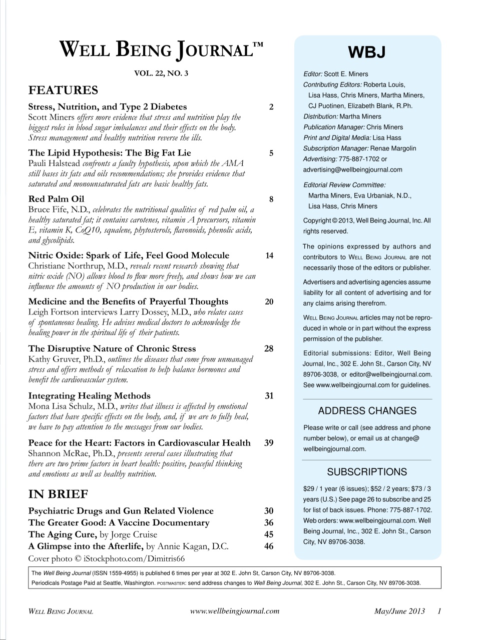 Well Being Journal Preview Pages