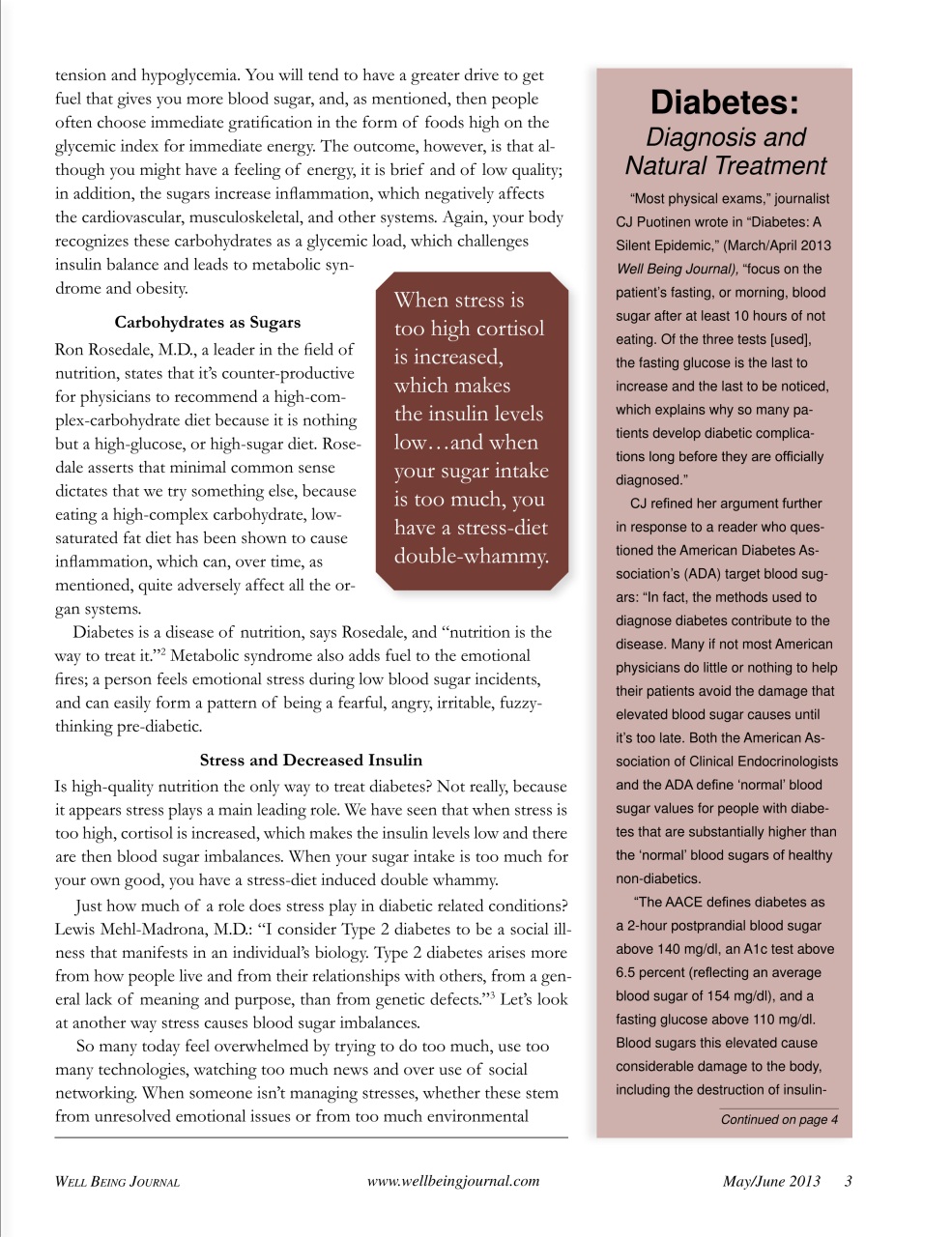 Well Being Journal Preview Pages