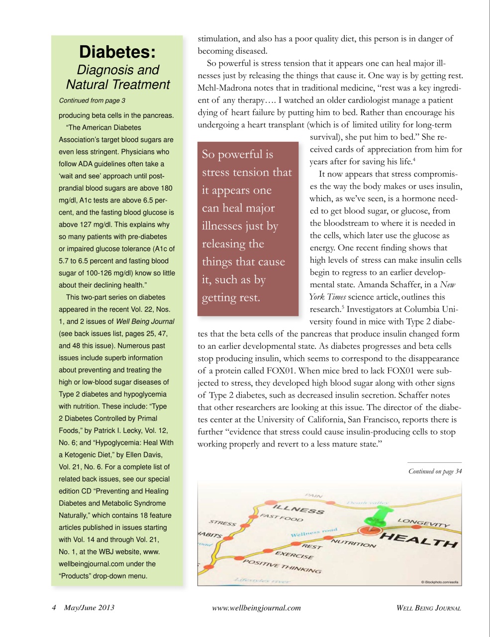 Well Being Journal Preview Pages