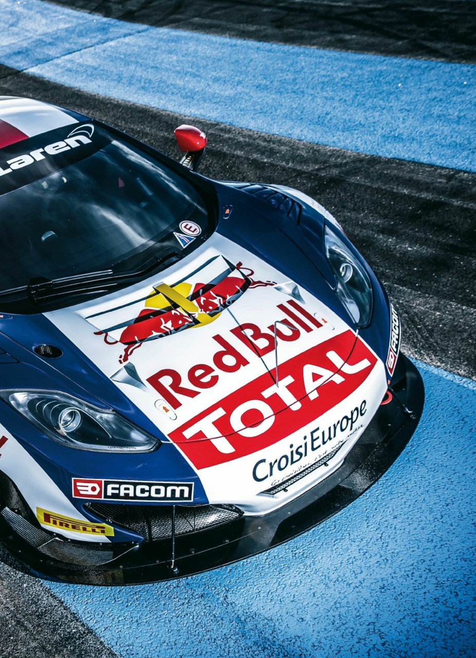 Auto Bild Preview Pages